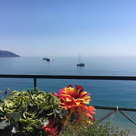 Cinqueterreblu Lungomarenostro Apartment Monterosso al Mare Luaran gambar